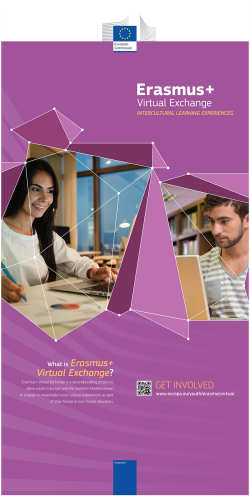 Erasmus+ Virtual Exchange - Banner