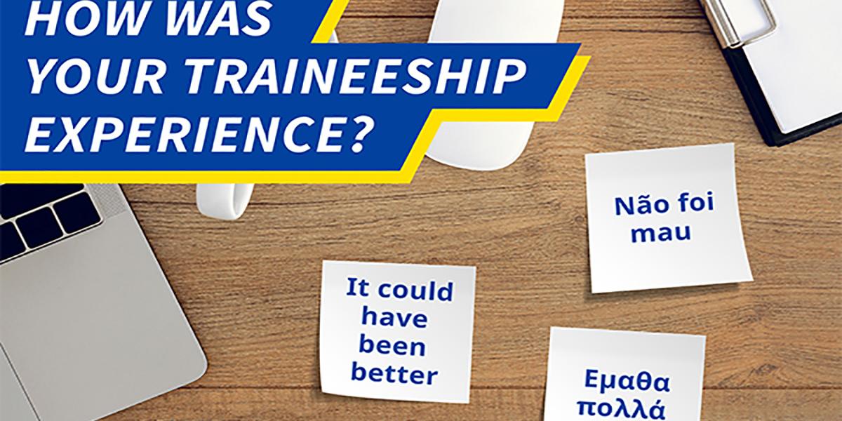 How was your traineeship experience?