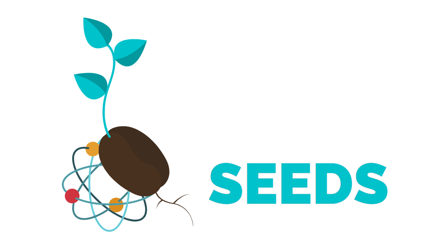 The SEEDS Logo, consisting of a budding seed superimposed onto a representation of an atom