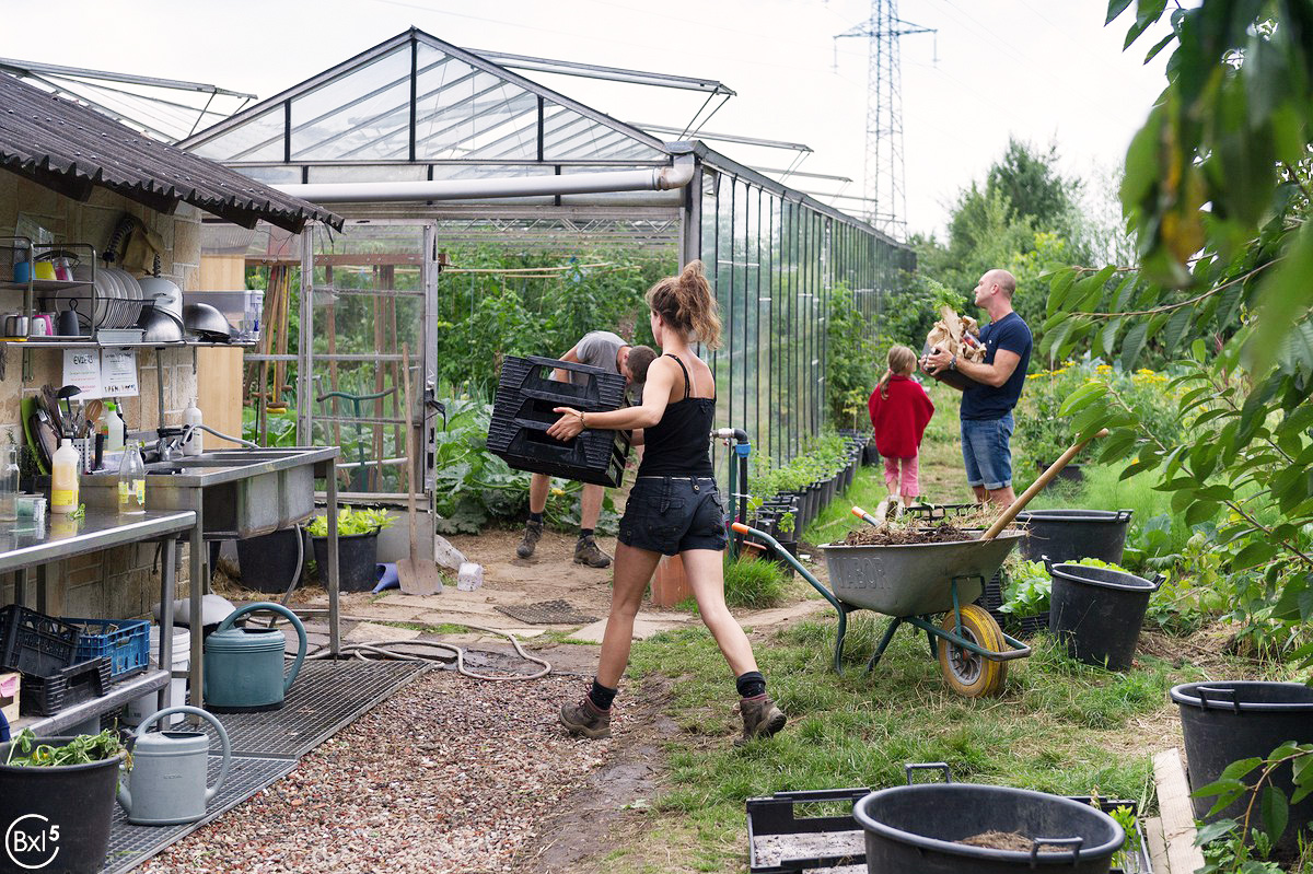 Permaculture volunteers