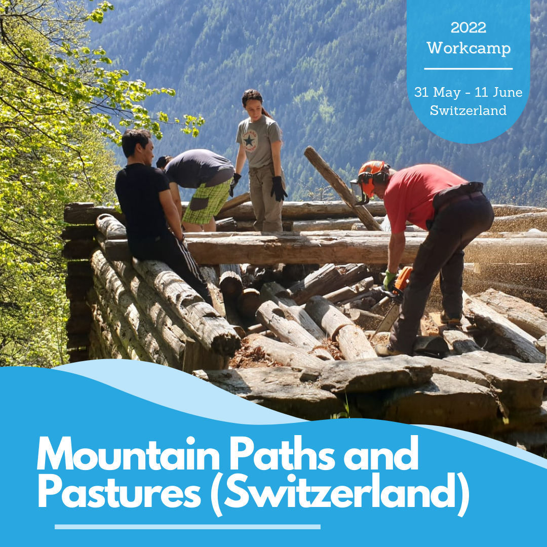 Volunteers working in the mountains