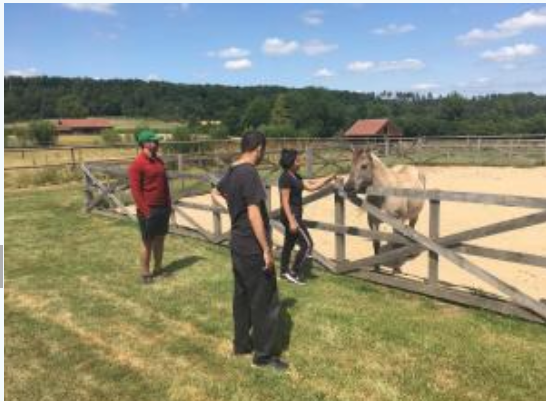 Volunteers at a farm