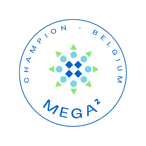 Logo de la conférence MEGA²