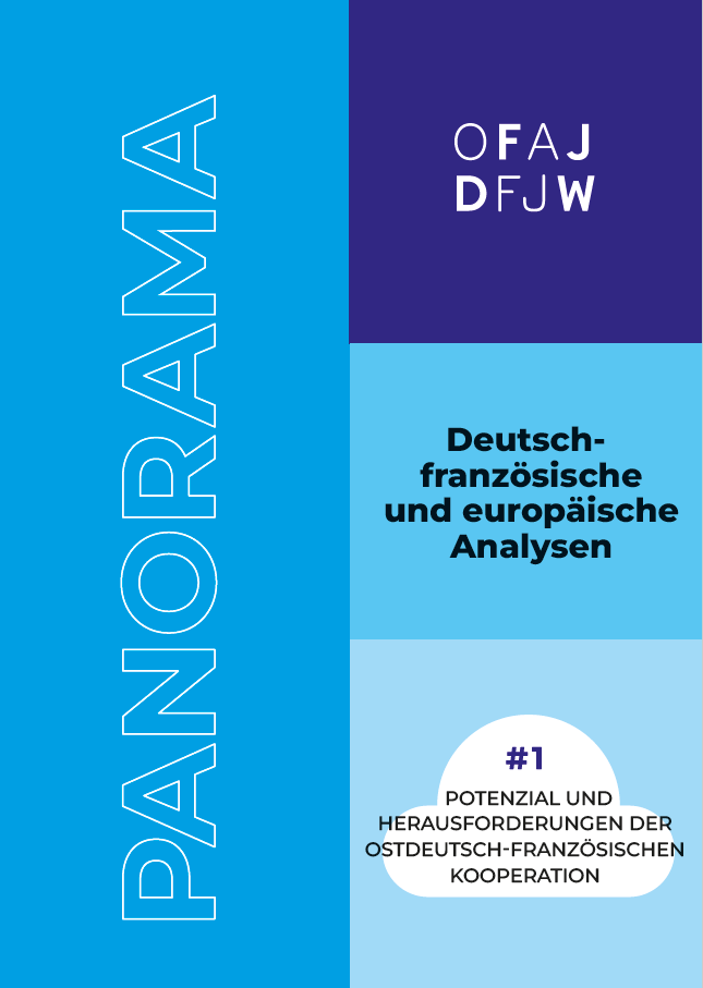Panorama - Analyses franco-allemandes et européennes