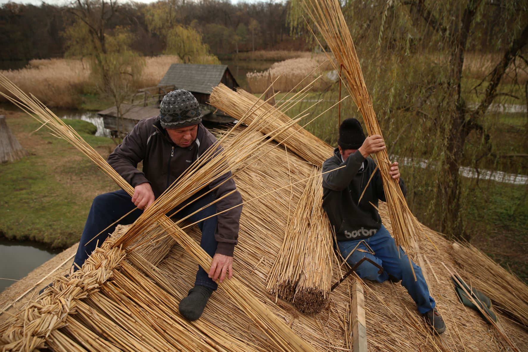 Work on traditional roofs at the Astra Museum Complex, Romania