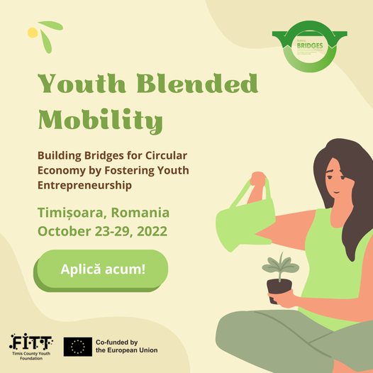 Youth Blended Mobility