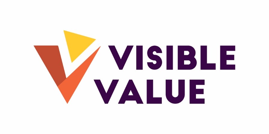 Visible Value seminar logo on the recognition of the value of youth work