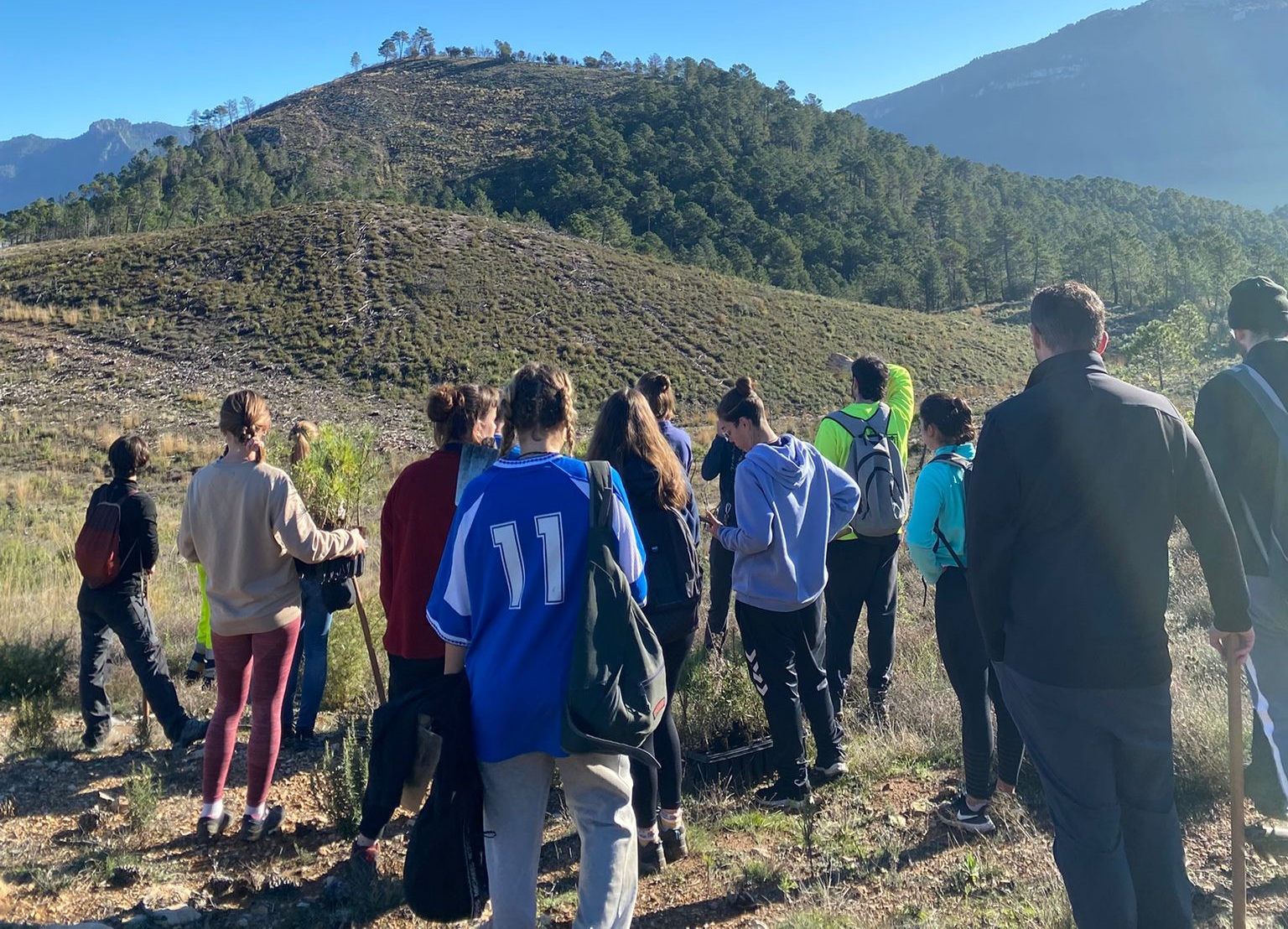 A group of volunteers replanting trees