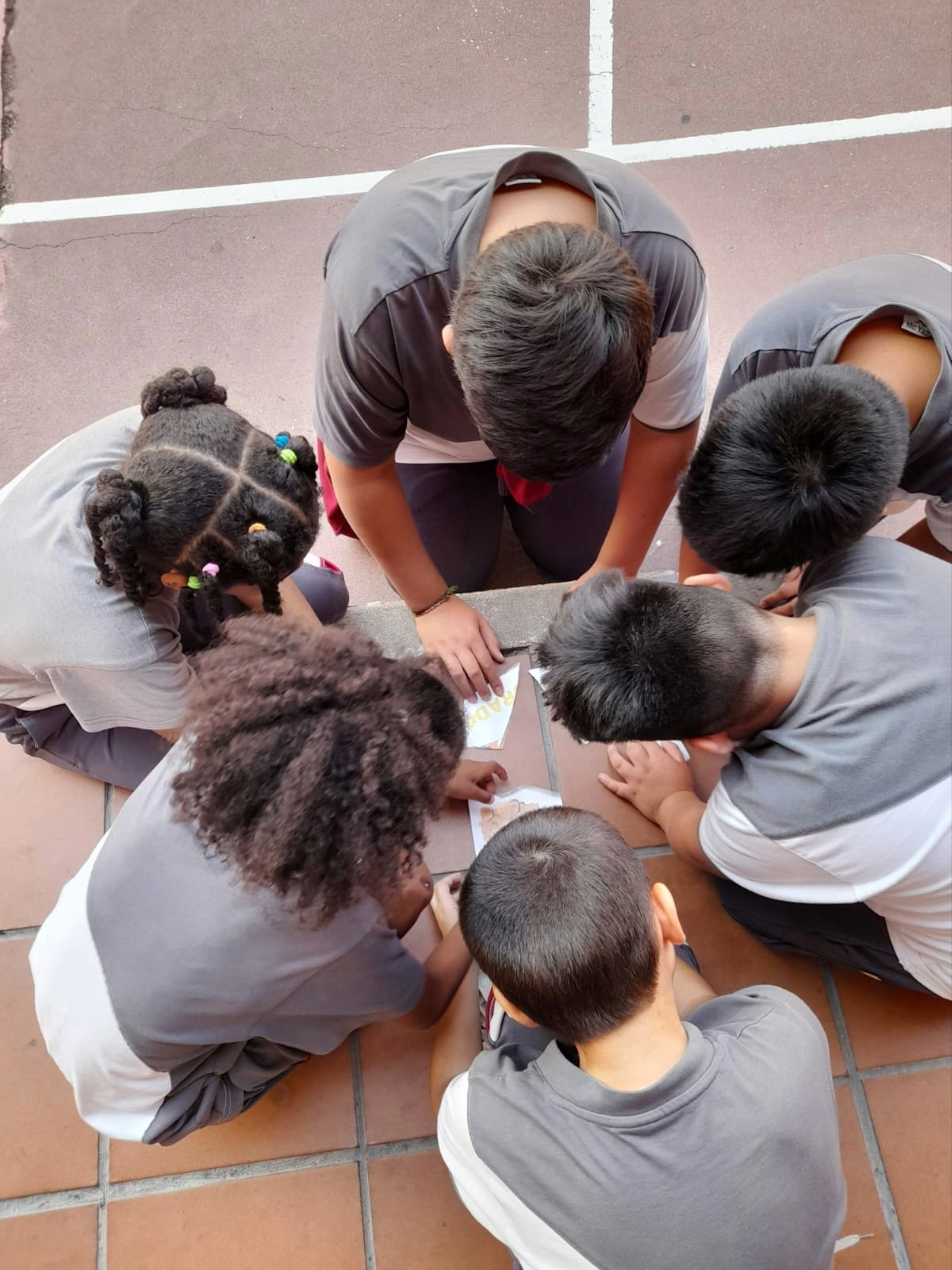 A group of children during an activity