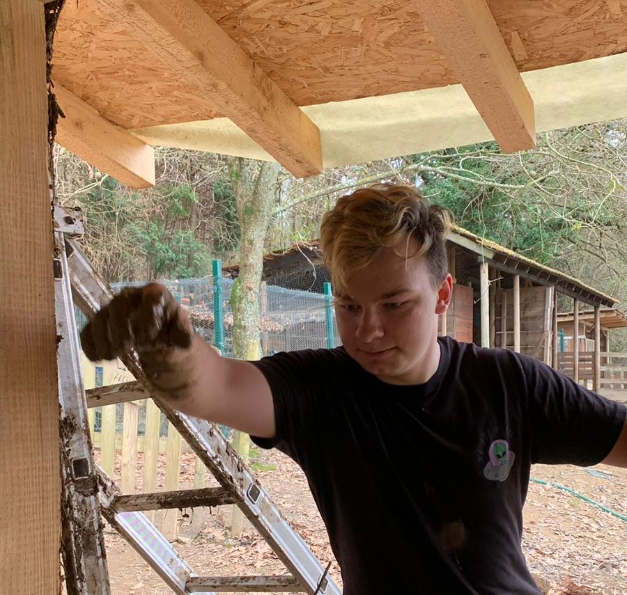 Ainis working on a shed