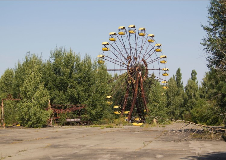 Rusted Ferris wheel with yellow gondolas in an overgrown, abandoned amusement park surrounded by trees.