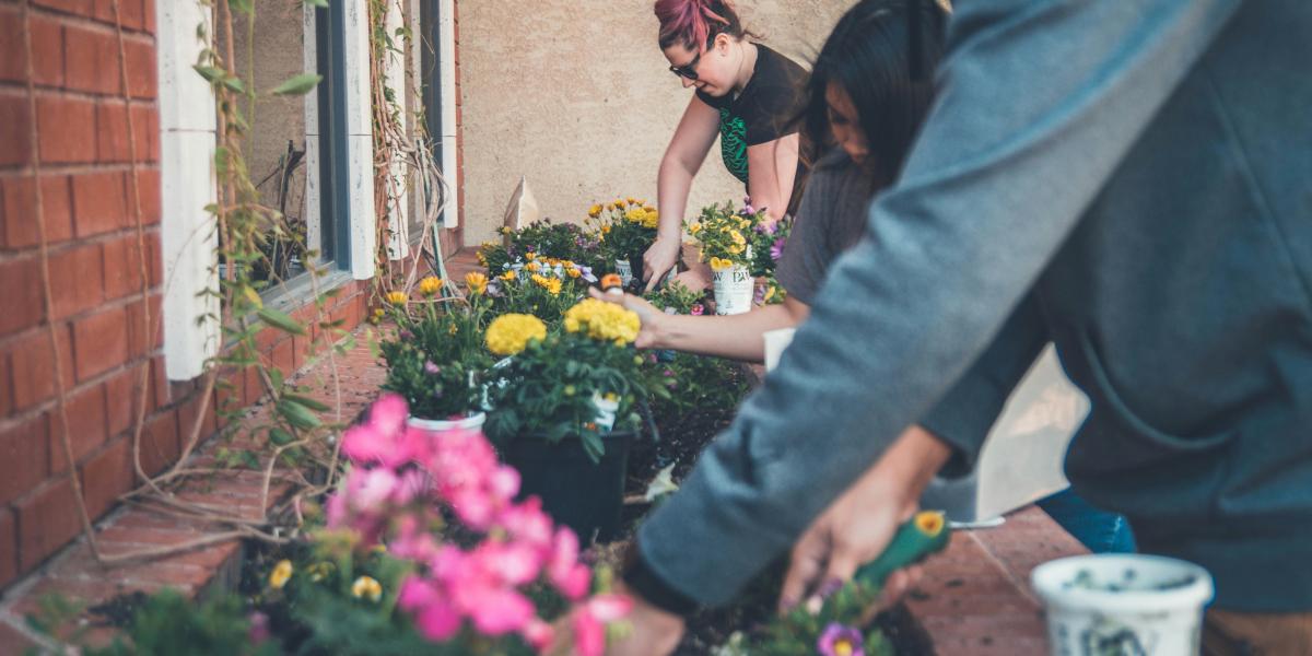 Volunteers gardening