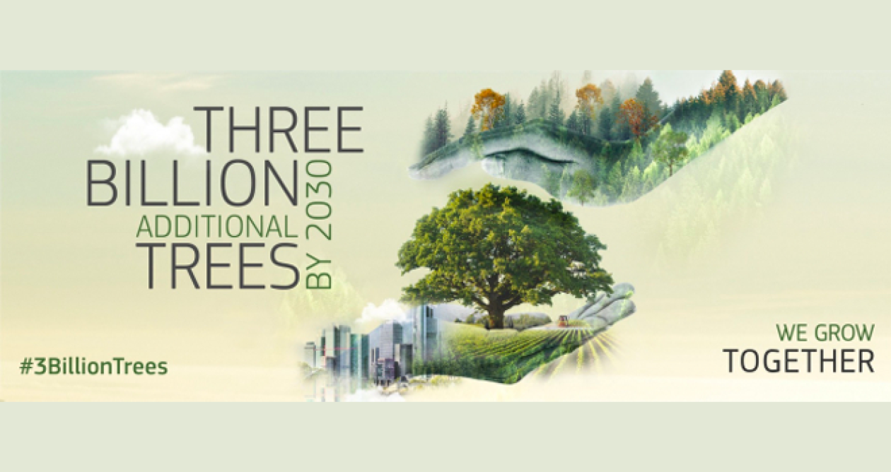 DiscoverEU Competition