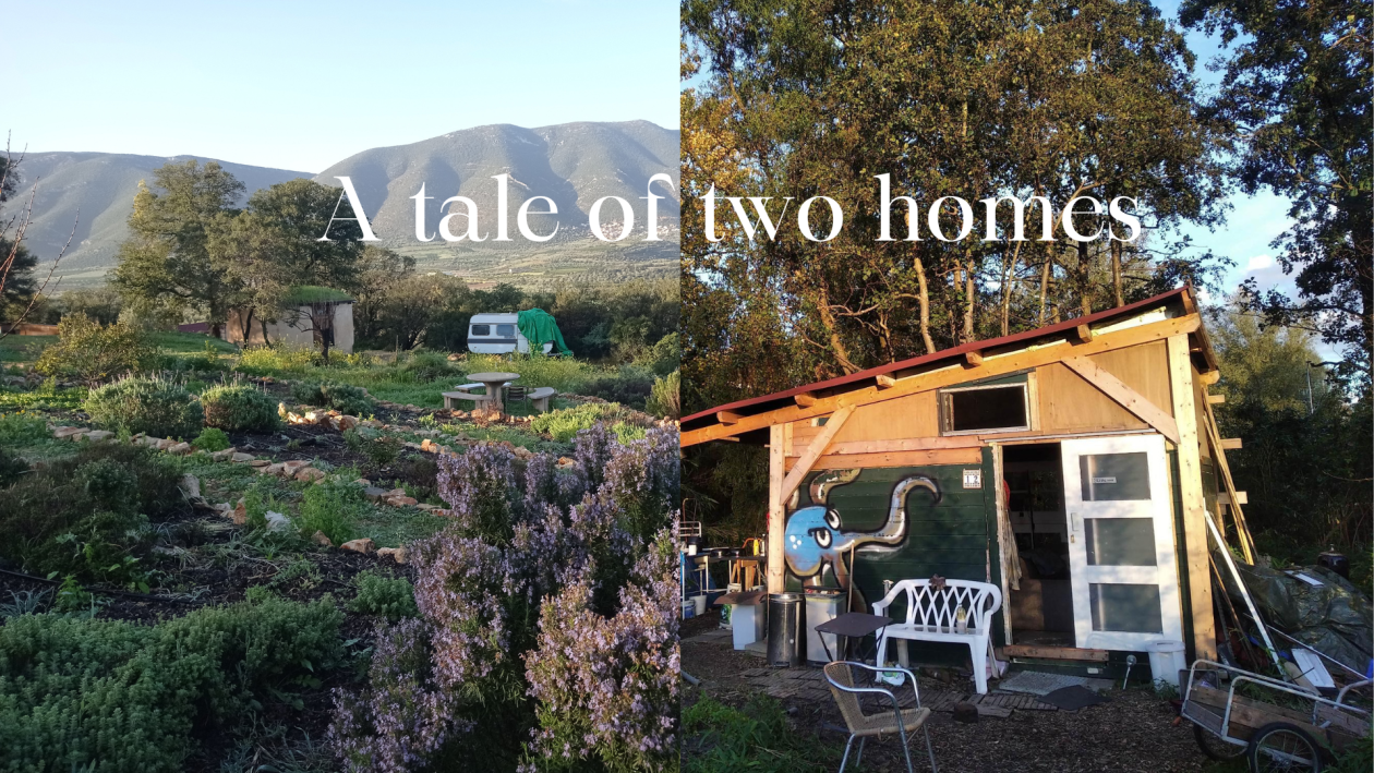 2 different houses in different landscapes