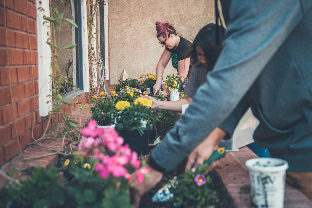 Volunteers gardening
