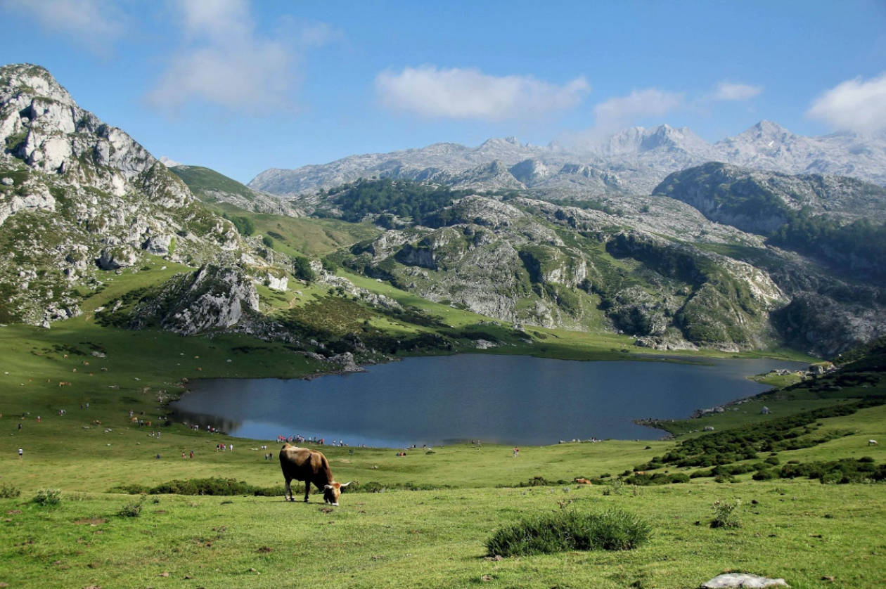 Landscape with mountains and lake