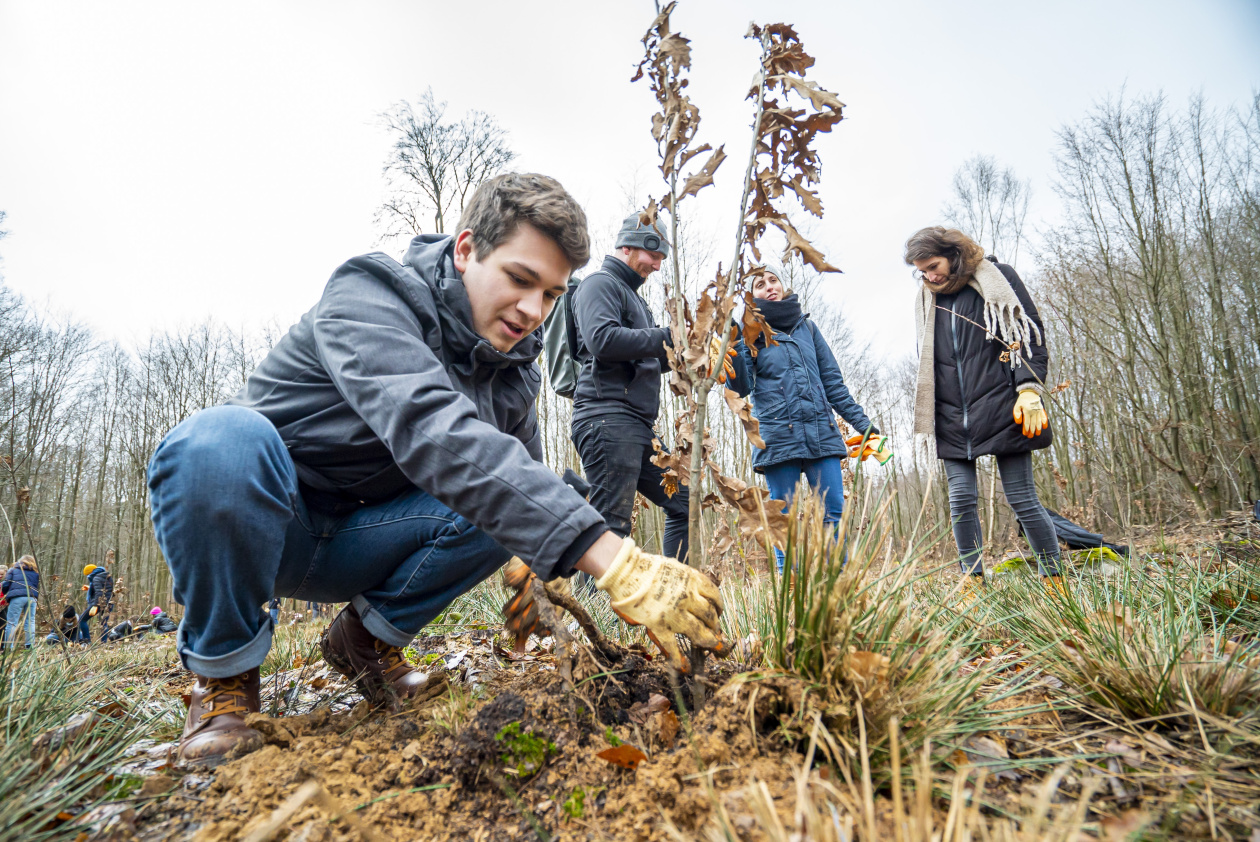 DiscoverEU treeplant