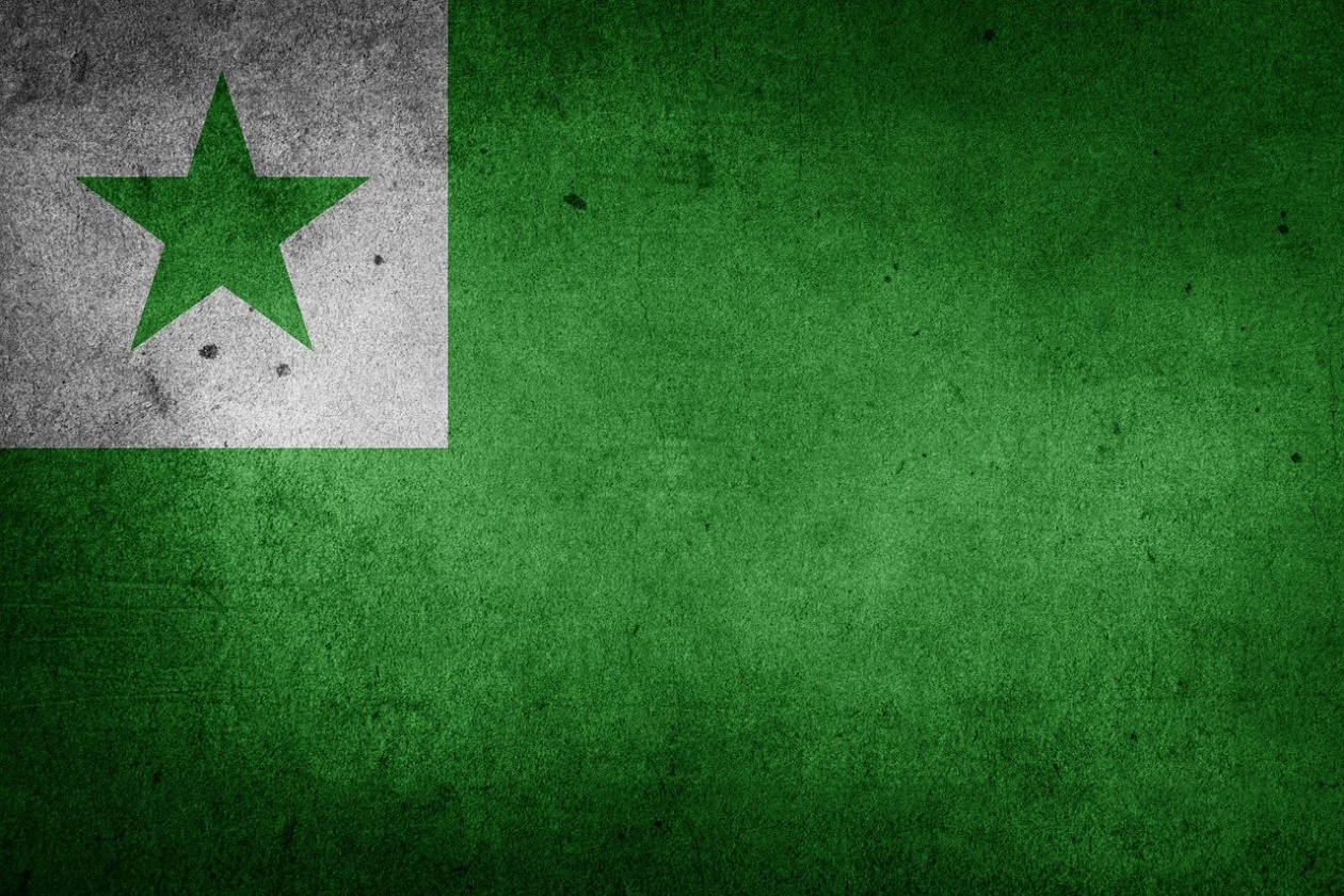 Flag in green with a green star. 