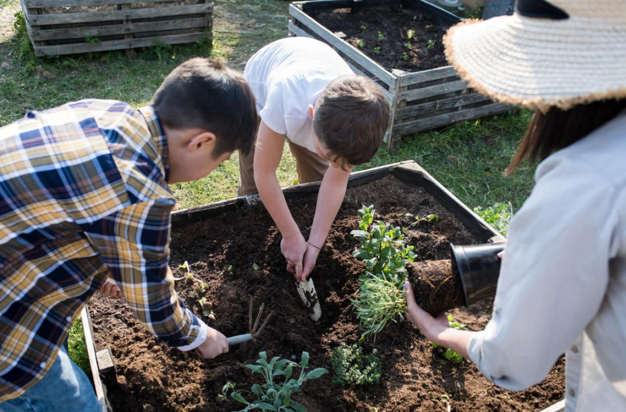 A group gardening and planting seeds in the soil.