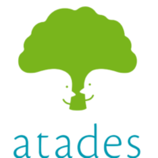 ASOCIACION TUTELAR ARAGONESA DE DISCAPACIDAD INTELECTUAL
