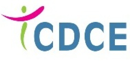 THE COMMUNITY DEVELOPMENT & CONTINUING EDUCATION INSTITUTE
