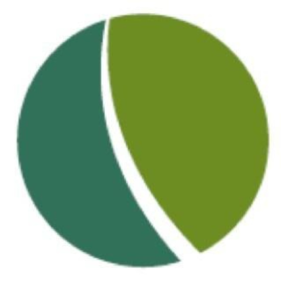 Good Energies Alliance Ireland Limited