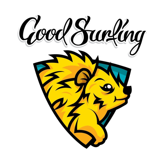 GOODSURFING Information Centre for Volunteering Development Independent Non-Profit Organization