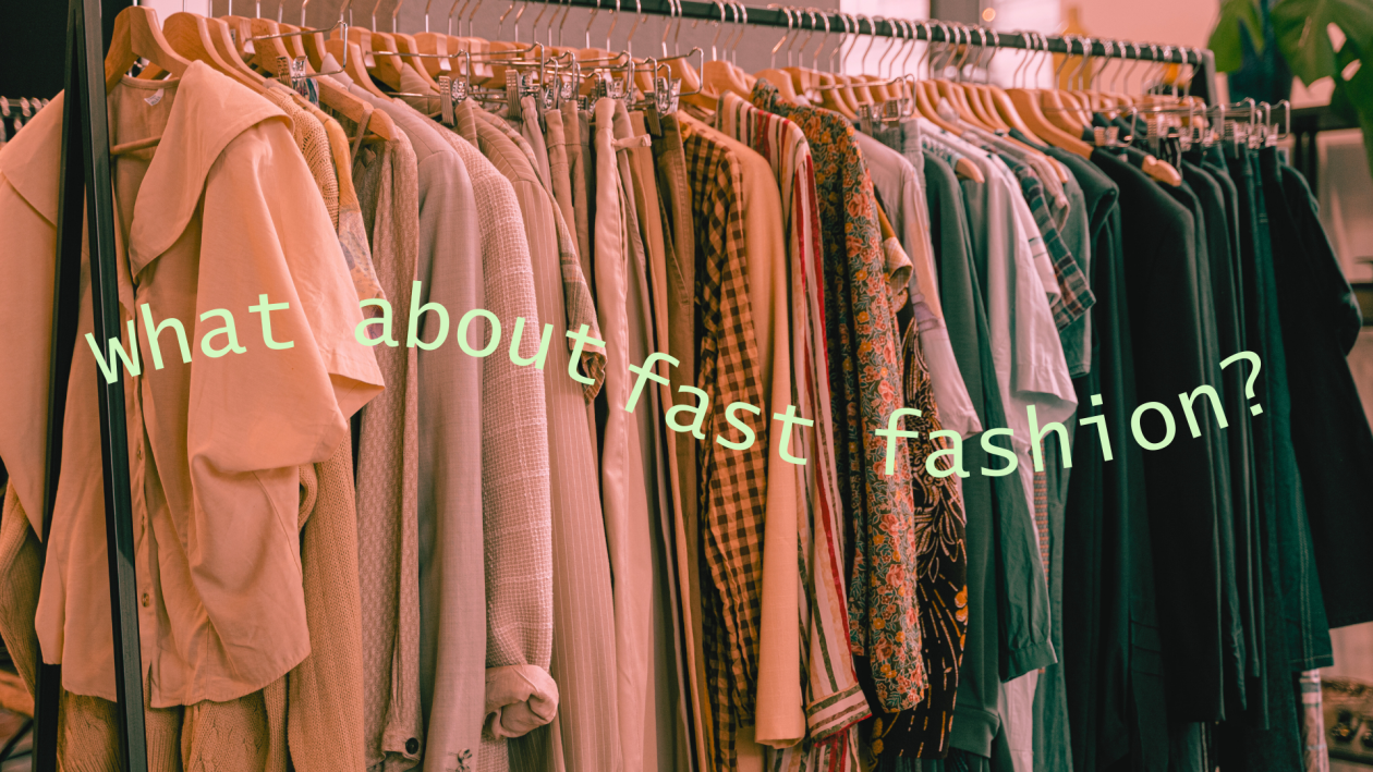 Clothes hanging and on top of it the following text: What about fast fashion?
