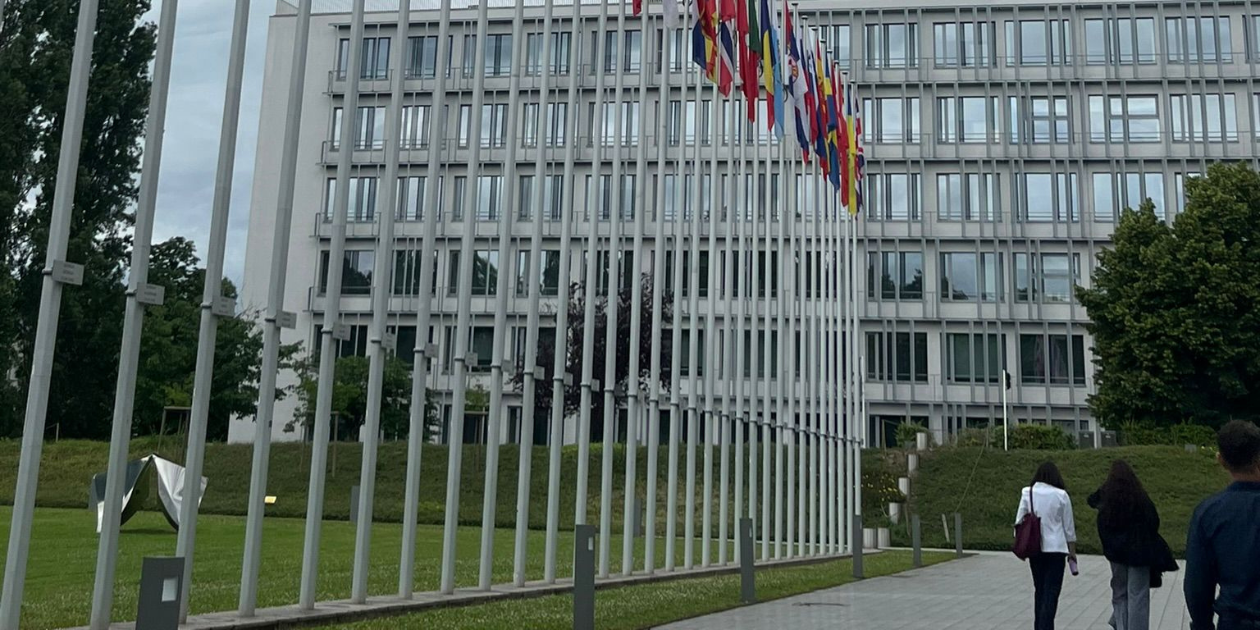 Flags from different countries on flagpoles before a modern building, with two people approaching on a path under a cloudy sky.