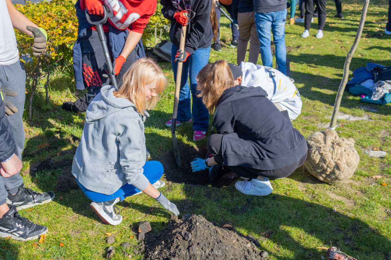 Young people volunteering