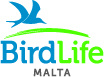 BirdLife Malta
