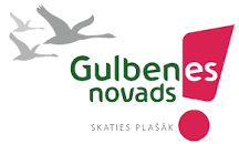 Gulbenes novada pasvaldiba