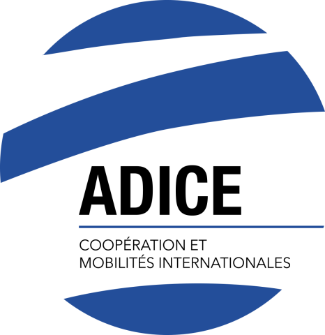 ASSOCIATION POUR LE DEVELOPPEMENT DES INITIATIVES CITOYENNES ET EUROPEENNES