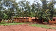 NGO MONDO
