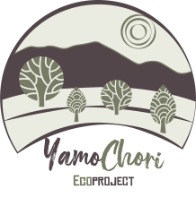 Youth Active Minds AMKE