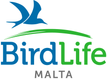 BirdLife Malta