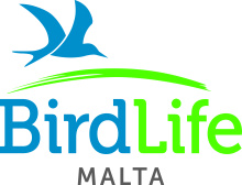 BirdLife Malta