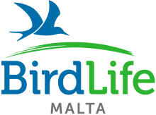 BirdLife Malta