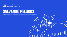 Asociacion Protectora de Animales SALVANDO PELUDOS