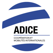 ASSOCIATION POUR LE DEVELOPPEMENT DES INITIATIVES CITOYENNES ET EUROPEENNES