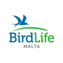 BirdLife Malta