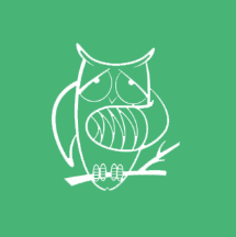 AFS interculturele programma's VZW