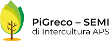 PiGreco - SEMI di Intercultura APS