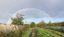 Permakulturpark am Lebensgarten Steyerberg (PaLS) gGmbH
