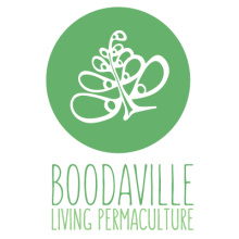 Boodaville