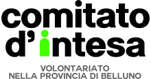 COMITATO D'INTESA TRA LE ASSOCIAZIONI VOLONTARISTICHE DELLA PROVINCIA DI BELLUNO ODV