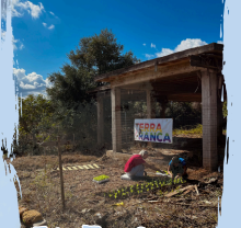 Palma Nana Coop. Soc.