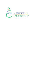 ASOCIATIA LUMEA LUI PINOCCHIO