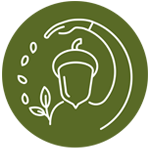 Asociación Semillistas