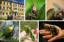 XENA CENTRO SCAMBI E DINAMICHE INTERCULTURALI